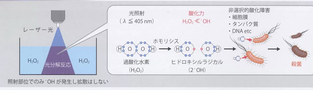 臨床試験による使用プロトコルの確立