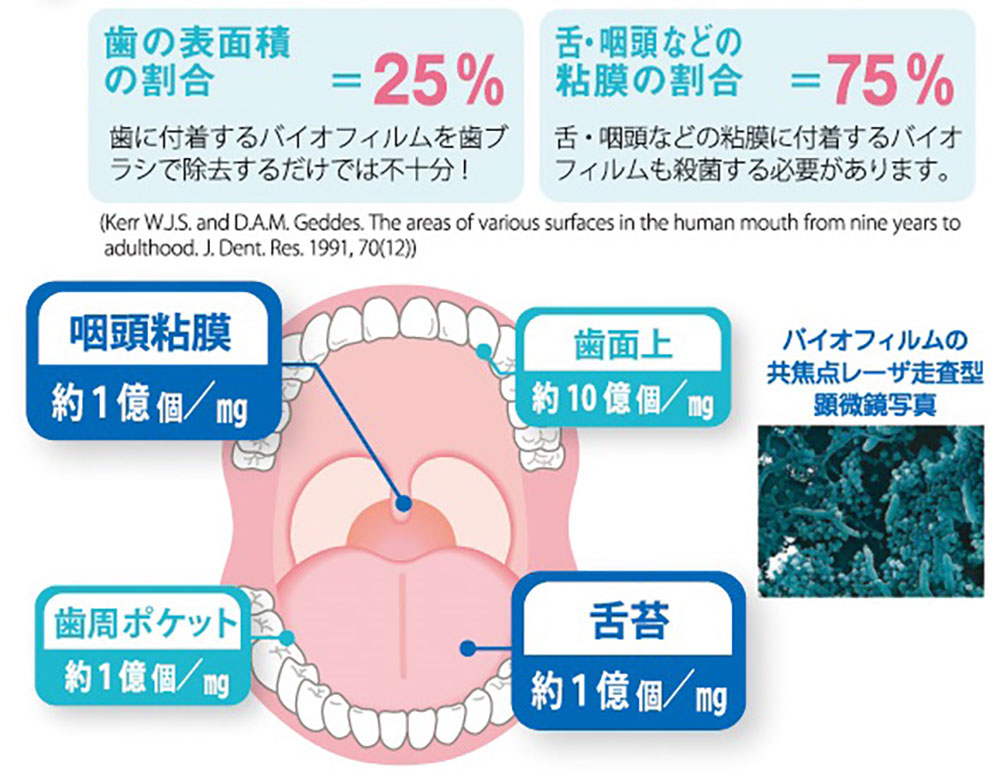 口腔ケアでウイルスの侵入を防ぐ！