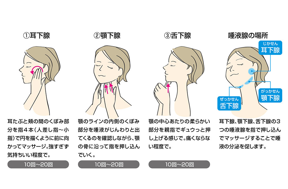 唾液腺マッサージの方法
