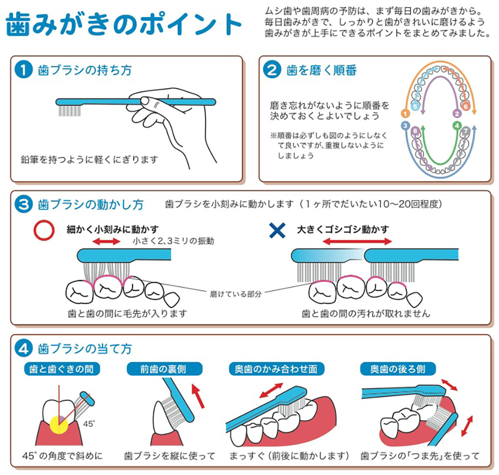 歯みがきのポイント