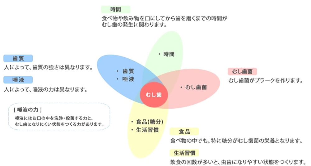 生活のなかに隠れているむし歯のリスク
