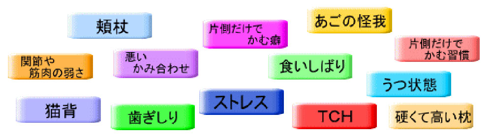 様々な寄与因子