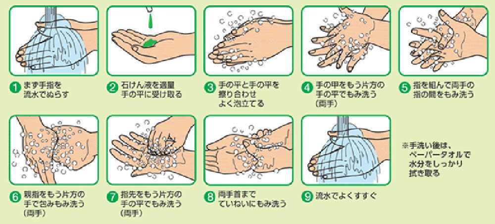 手洗いの手順例