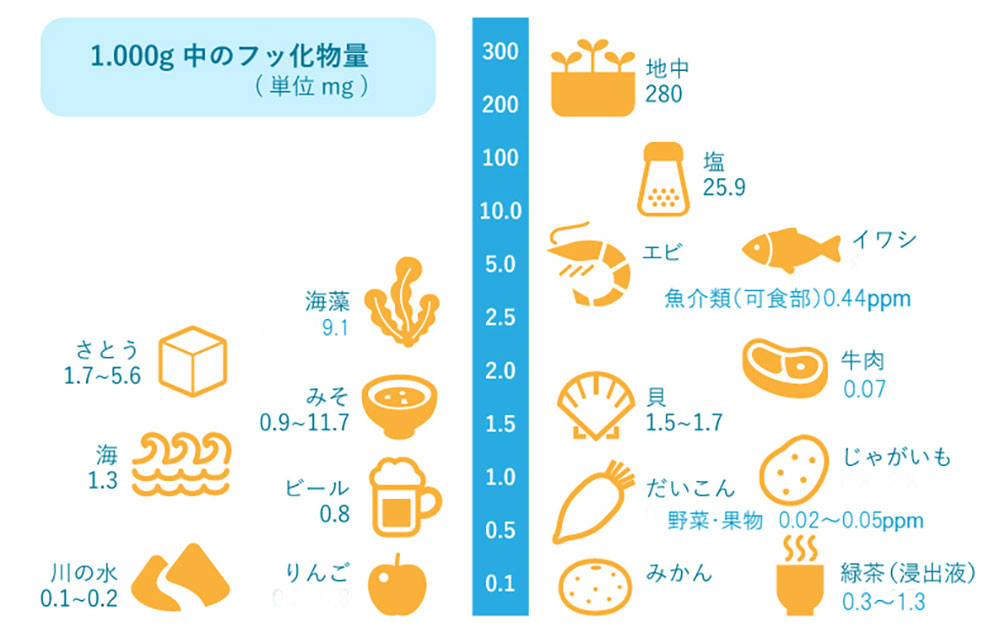 フッ化物量の図