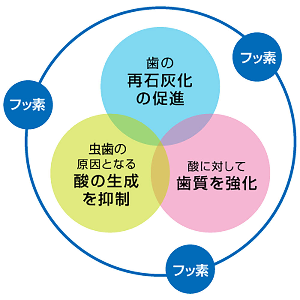 細菌・酵素作用の抑制
