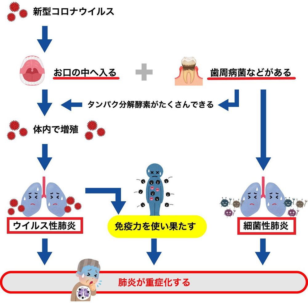 新型コロナウイルについて