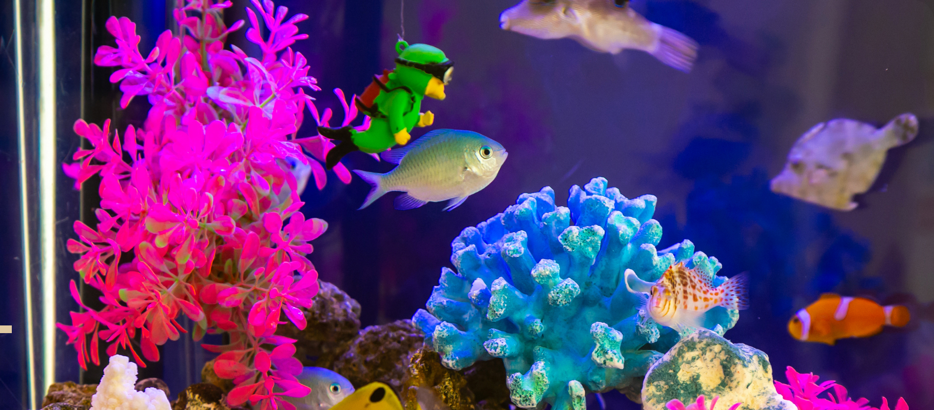 わたなべ歯科クリニック