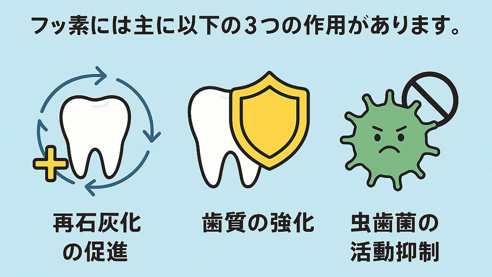 虫歯の予防②フッ素塗布