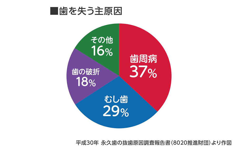歯を失う主原因