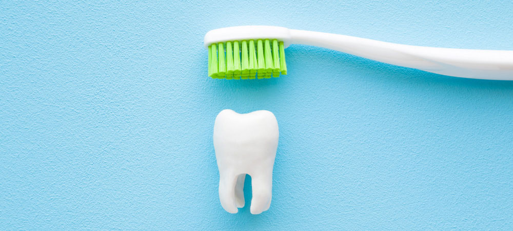 ライフステージ別