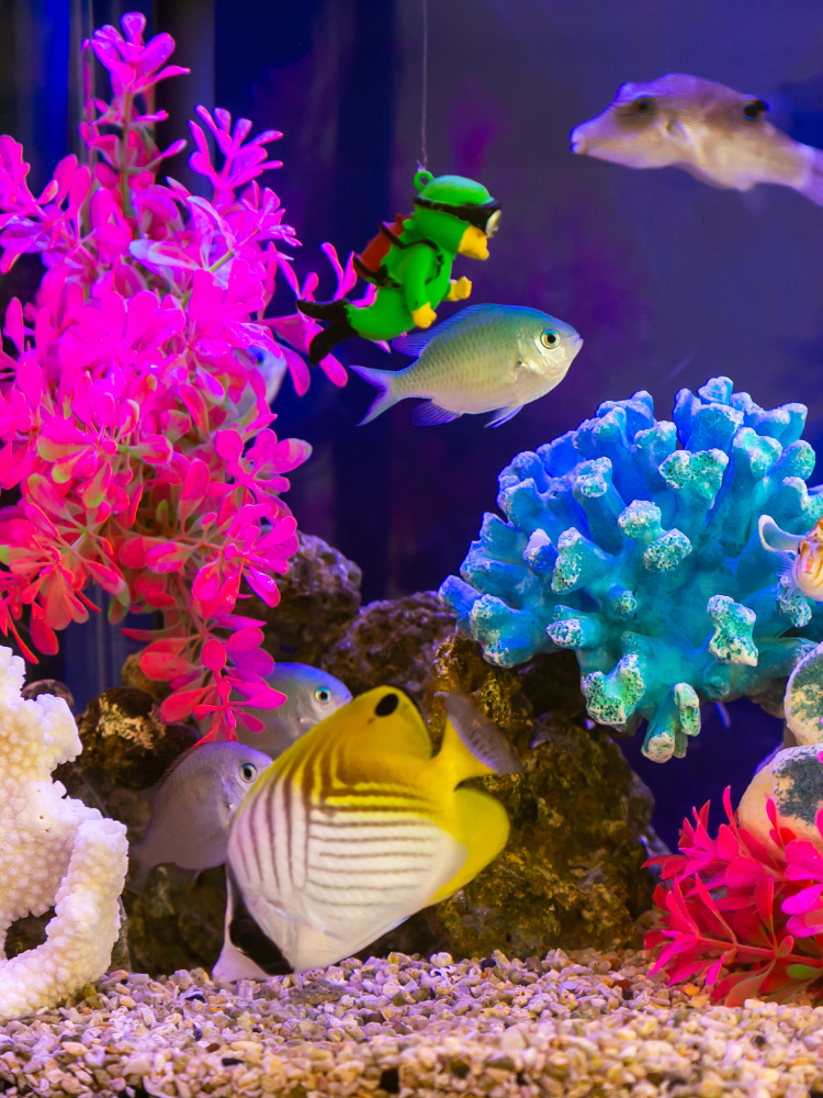 わたなべ歯科クリニック